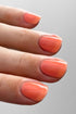 SHERBET JELLY NAIL POLISH